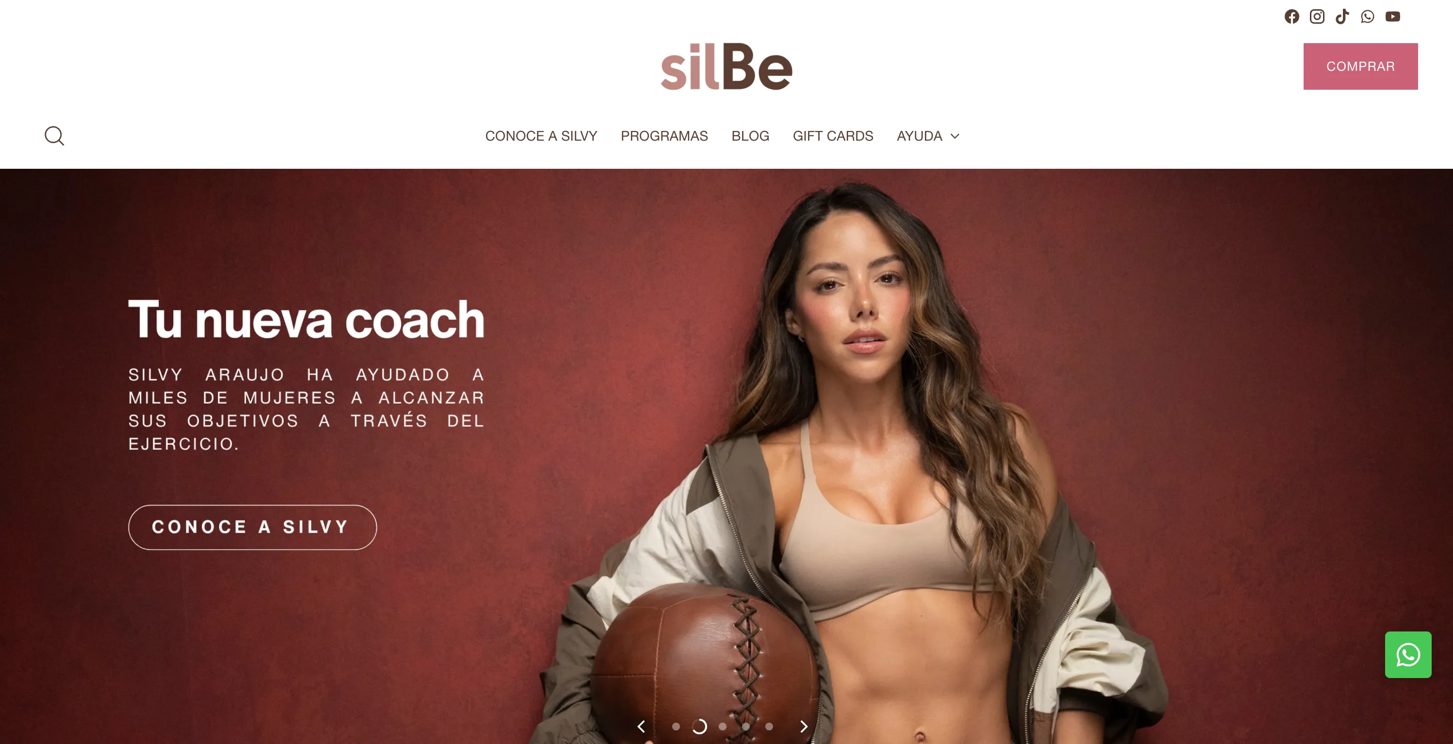 Sitio web de silBe